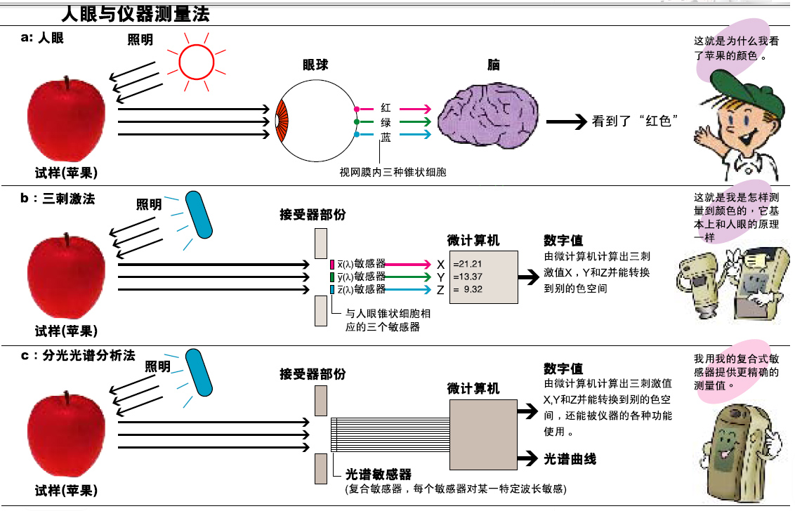 蜜桃AV噜噜一区二区三区小说的分光型与三刺激值型哪个更准确