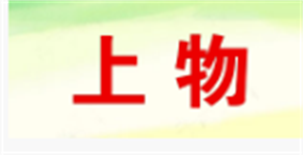 2024国产蜜桃AV噜噜一区二区三区小说品牌前十名10